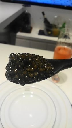DSC_1042 (250x444)