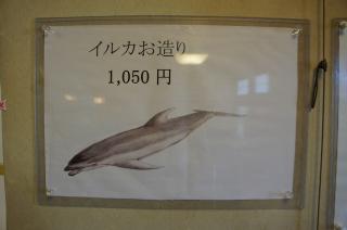 1292490774.jpg