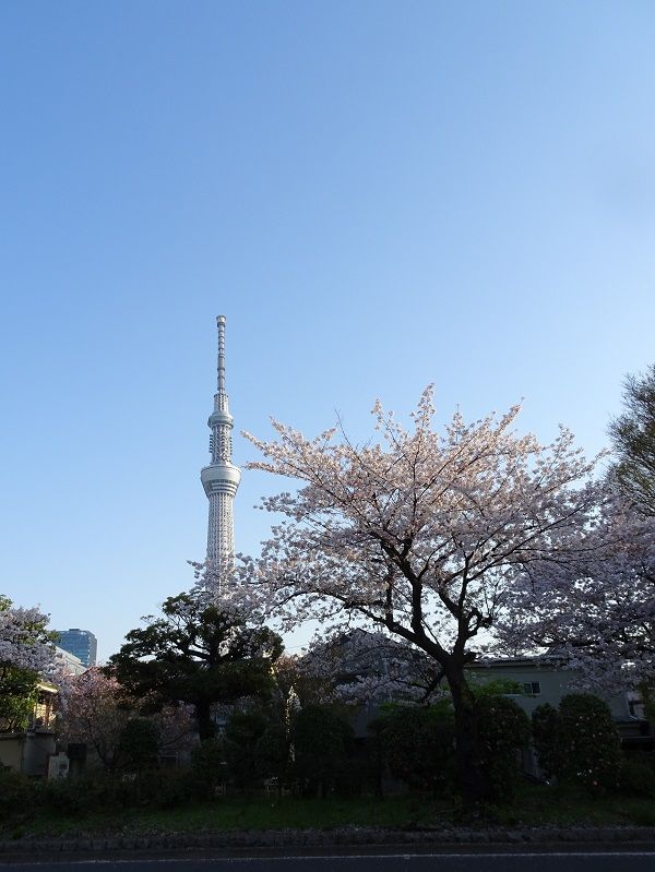 DSC02786 (2)