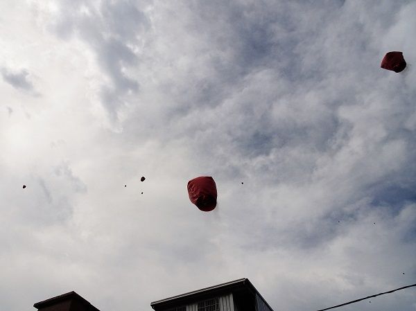 DSC02076 (2)