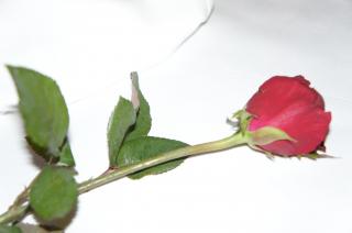 1290591913.jpg