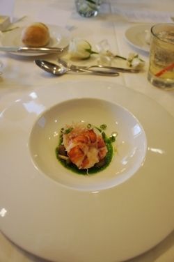 DSC08065 (250x376)