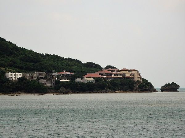DSC02447 (2)