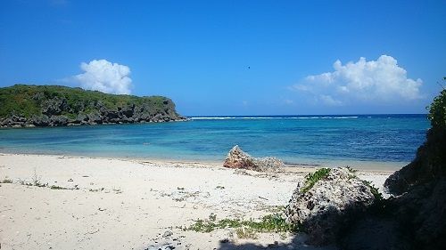 DSC_2963(1)