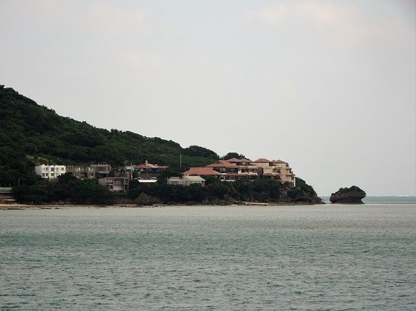 DSC02447 (2)