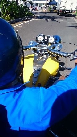 DSC_0715 (250x444)