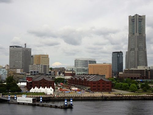 DSC01374 (2)
