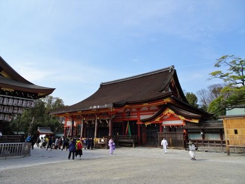 DSC00400 (500x375)