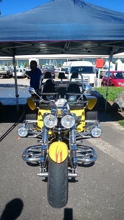 DSC_0724 (250x444)