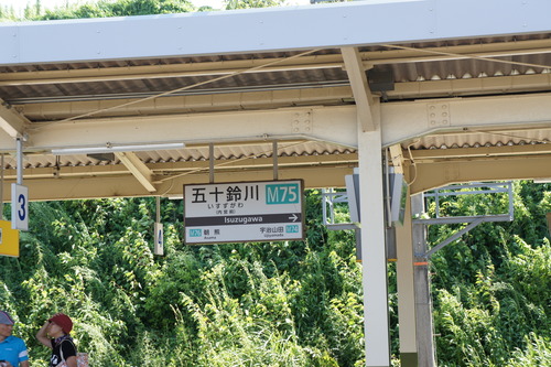 DSC08784