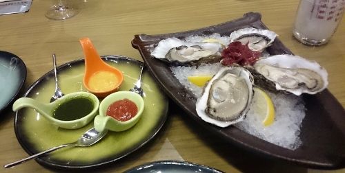 DSC_2201 (2) (500x252)