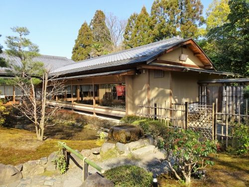 DSC00294 (2) (500x375)
