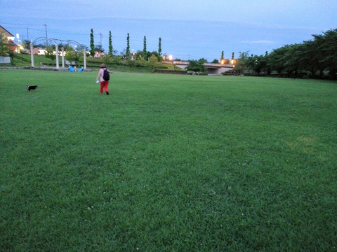 IMG_20180708_191515
