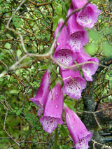 5a443669.jpg