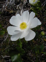 bd667980.JPG