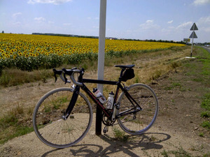 IMG-20110724-00172