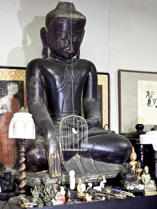 50303791_1847457042050461_6919893510216744960_n