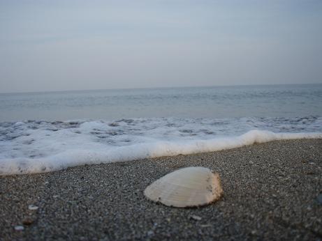 88f8b631.jpg