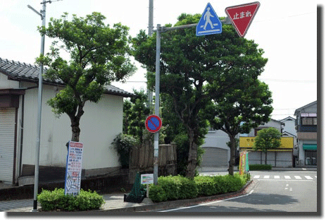 街路樹002