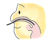 2009111114163019921.gif