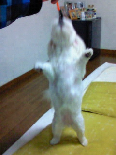 200905162008000