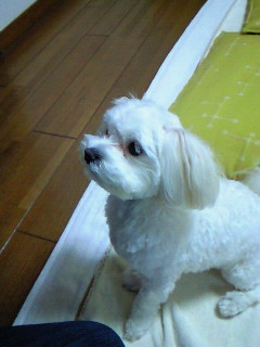 200905162007000