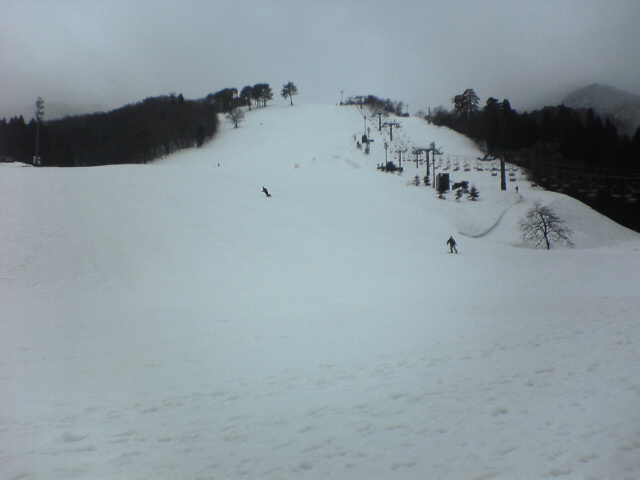 dc40d528.jpg