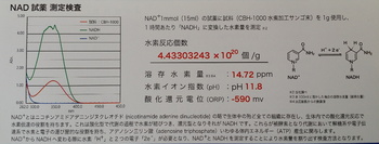 NAD鉄人水素