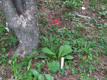 DSCF3984