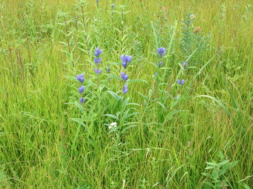 DSCF5954