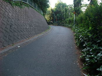 世田谷運動場の野球場 坂