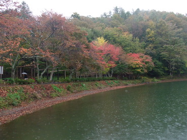 DSCF4827