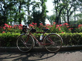 世田谷運動場
