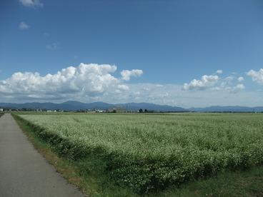 DSCF4595