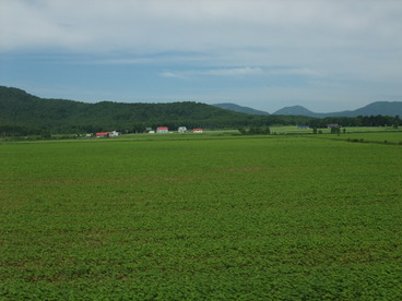 DSCF2475