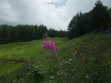 DSCF5933