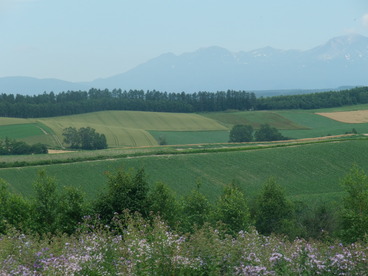DSCF2499