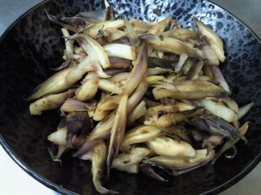 NEC_0110