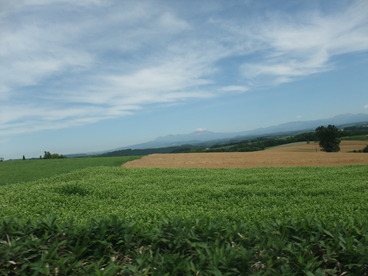 DSCF2495