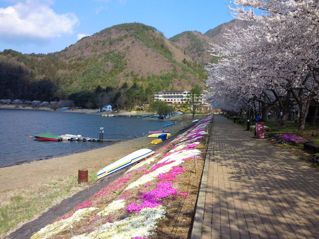 まさしく湖北ビューライン強い ...