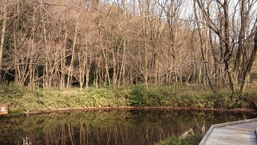 NEC_0191