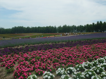 DSCF2509