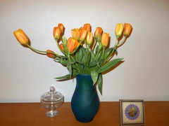 DSCN0008