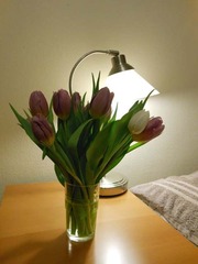 DSCN0009
