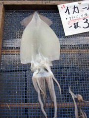 IMG_9624s