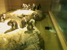 PICT0076