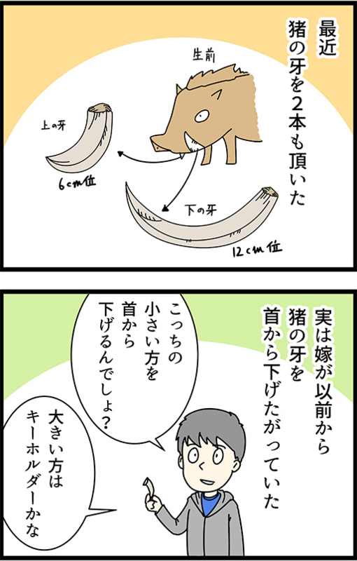 2025年最新】イノシシの牙の人気アイテム - メルカリ