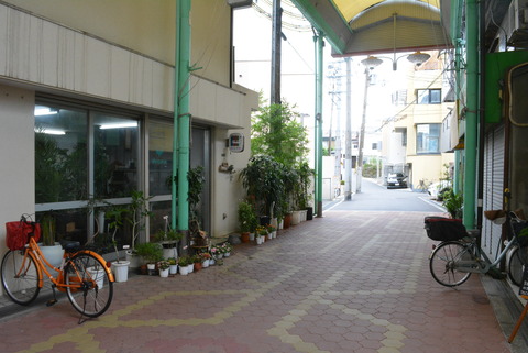DSC_1309