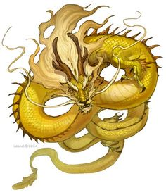 黄色い龍