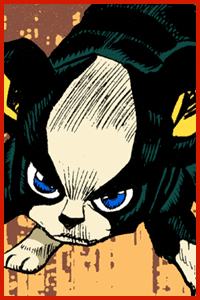 06